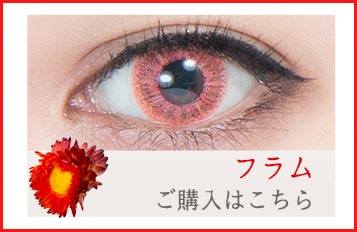 パーフェクトシリーズワンデーグランツ フラム